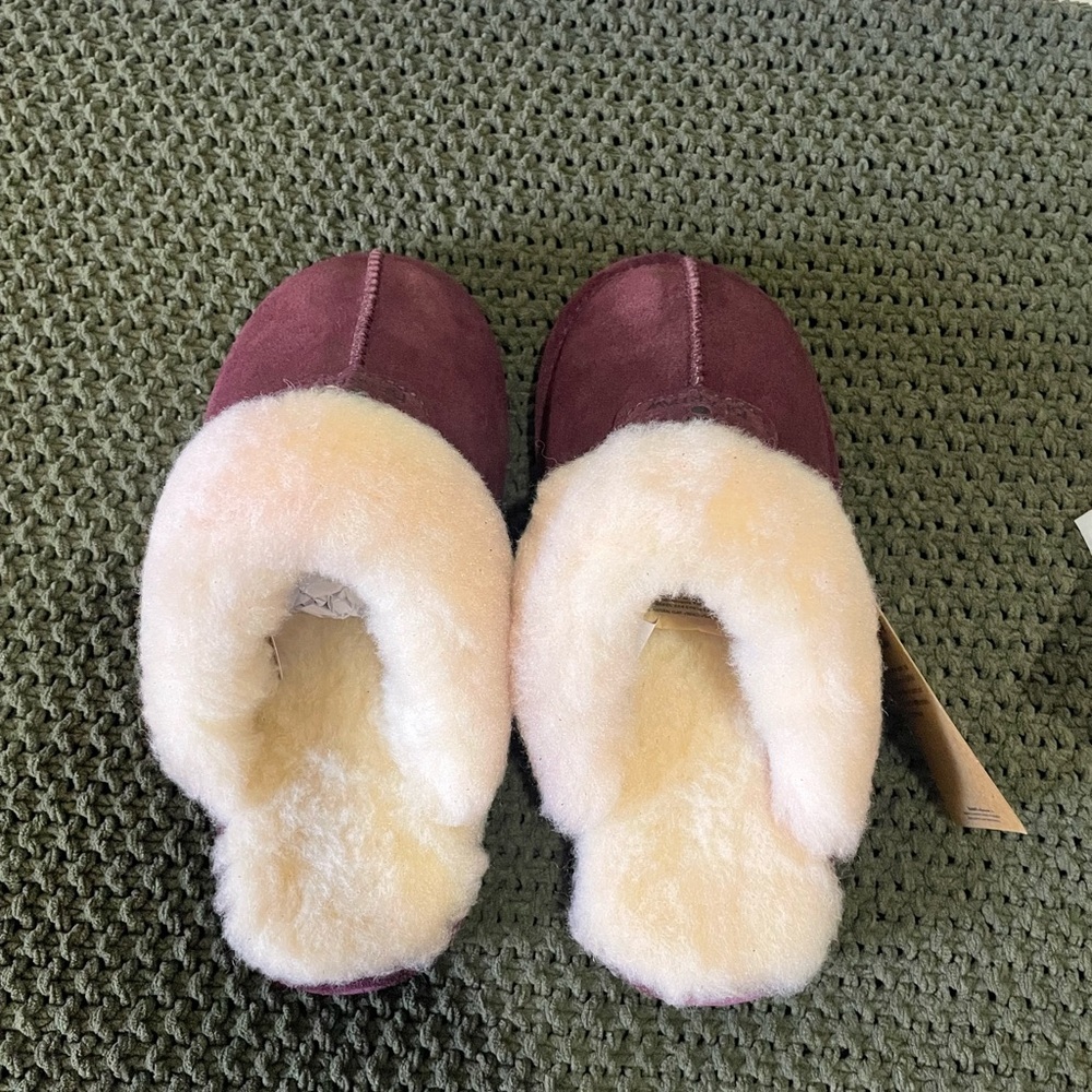 Bear paw Loki Slippers